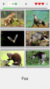 Animals Quiz Learn All Mammals screenshot 1