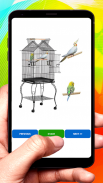Bird cage design ( offline ) screenshot 5