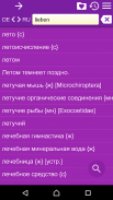 Russian German Dictionary screenshot 3