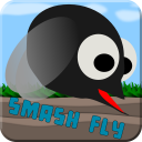 Smash fly Icon