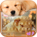 Tema Keyboard Dynamic Sleeping Icon