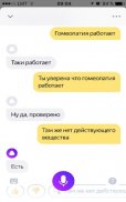 Алиса голосовой помощник screenshot 0