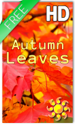 Autumn Leaves HD Free screenshot 0