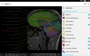 e-Anatomy screenshot 0