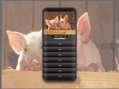 Pig How to Generate Many children screenshot 3