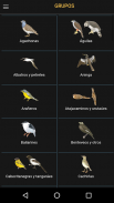 Aves argentinas screenshot 3