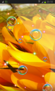 Flower Magic Real HD LWP screenshot 1