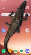 Piada de Crocodilo no Telefone screenshot 6