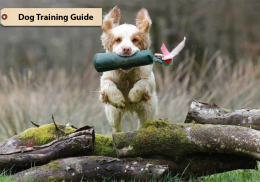 Dog Training Guide 2018 screenshot 3