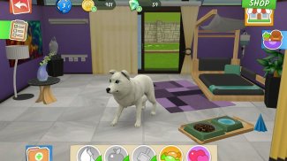 Pet World–Hôpital pour animaux screenshot 5