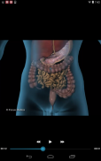 Gastroenterology-Medical Dict. screenshot 6