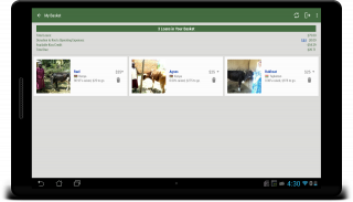 Kiva Search screenshot 9