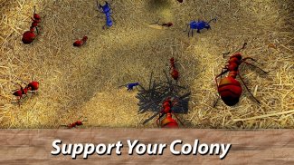 Ameisen Survival Simulator - geh zur Insektenwelt! screenshot 9