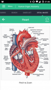 Human Organs Anatomy Reference Guide screenshot 2