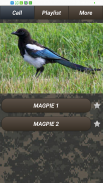 Pest bird caller screenshot 1