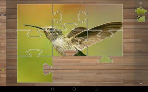 Bird Puzzle Games screenshot 4