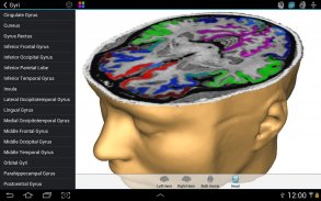 Brain Tutor 3D screenshot 2