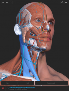 Visual Anatomy 3D screenshot 9