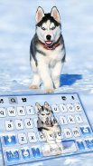 Ice Husky Keyboard Background screenshot 0