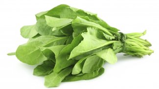 Spinach Benefits screenshot 8