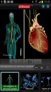 Anatomy & Physiology-Animated screenshot 8