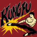 Kung Fu(80s Handheld LCD Game)