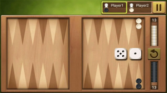 Backgammon raja screenshot 4