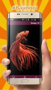 Betta Fish Wallpapers screenshot 1