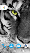 Tiger HD Wallpapers screenshot 0