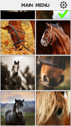 Horse Slide Puzzle screenshot 6