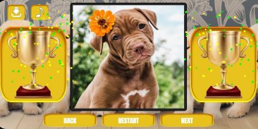 Dogs & puppies jigsaw puzzles screenshot 7