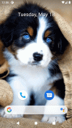 Cute Dog Wallpapers screenshot 5