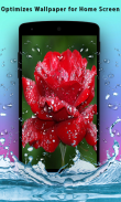 3D Rose Live Wallpaper screenshot 5