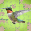 Living Puzzles Icon