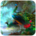 Peacock Wallpaper Icon