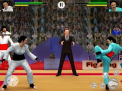 Tag tim Karate melawan Tiger dunia Kung Fu raja screenshot 6