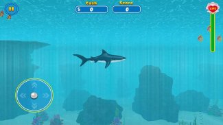 Shark Attack Wild Simulator screenshot 4