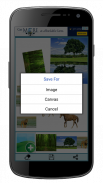 Photo Collage Canvas screenshot 0
