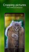 Kitten Wallpapers 4K screenshot 3