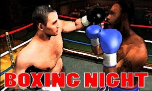 Boxing Night 3D screenshot 0