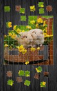 Pets Jigsaw Puzzle Game screenshot 2