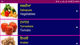 Learn Punjabi From English screenshot 4