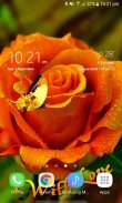 Orange Rose Butterfly LWP screenshot 1