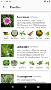 Herbs Encyclopedia screenshot 1