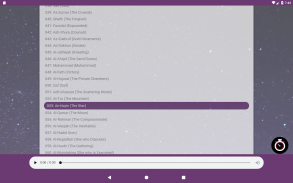 Quran Player with timer (no ads) screenshot 0