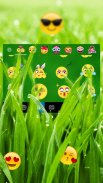 Sunlight Summer Grass Keyboard screenshot 2