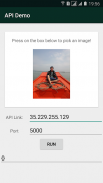 API Demo screenshot 0