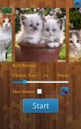 Los gatos Jigsaw Puzzle screenshot 4