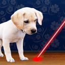 Laserpointer für Hundesimulator Icon