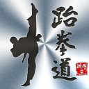 Taekwondo Poomsae Master